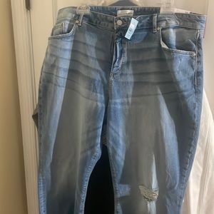 Loft distress jean the crop mid rise distressed jeanNWT